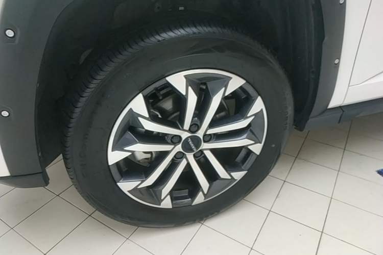 Used Haval H Dog 2023 2.0T All-Wheel-Drive Chaoye Plus Left Front Wheel Hub