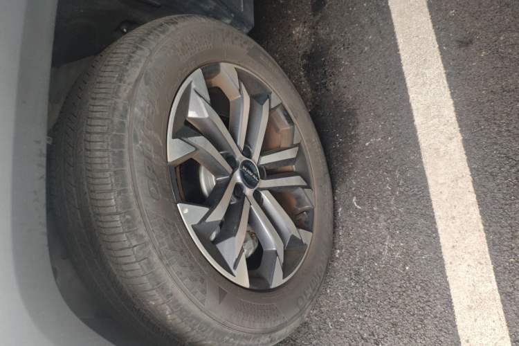 Used Haval H Dog 2023 2.0T Two-Wheel Drive Chaoye Version Plus Left Front Wheel Hub