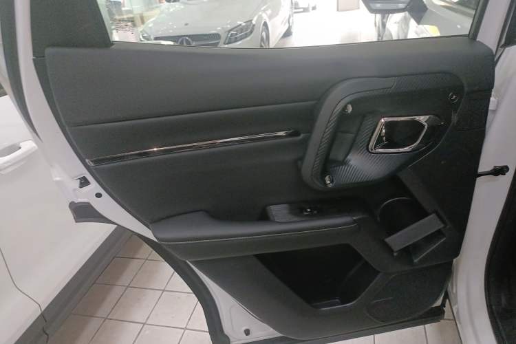 Used Haval H Dog 2023 1.5T Two-Wheel Drive Chao Ye Version Plus Left Rear Door Interior