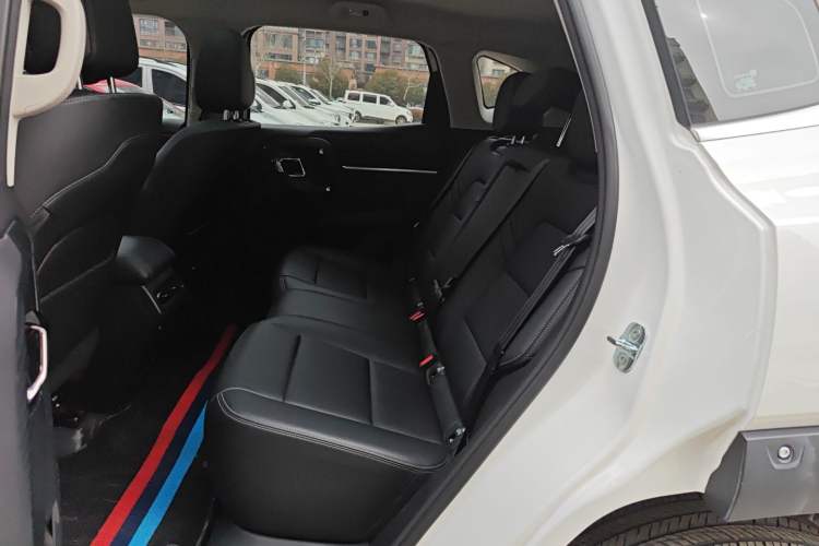 Used Haval H Dog 2023 2.0T All-Wheel-Drive Chaoye Plus Left Rear Seat
