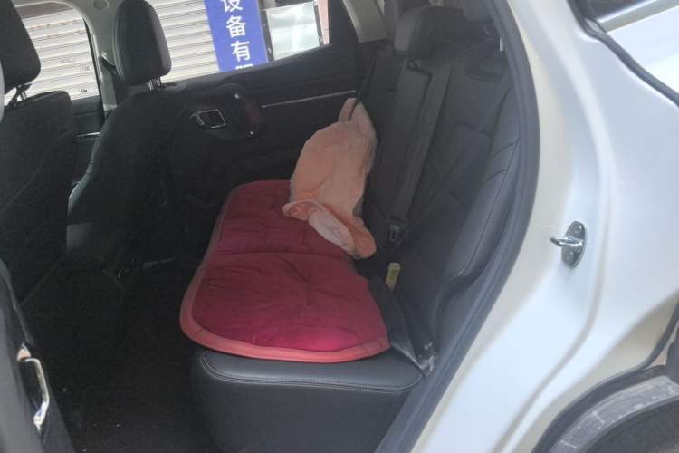 Used Haval H Dog 2023 2.0T All-Wheel-Drive Chaoye Plus Left Rear Seat