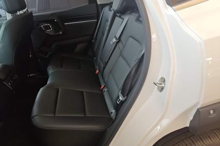 Used Haval H Dog 2023 2.0T Two-Wheel Drive Chaoye Version Plus Left Rear Seat