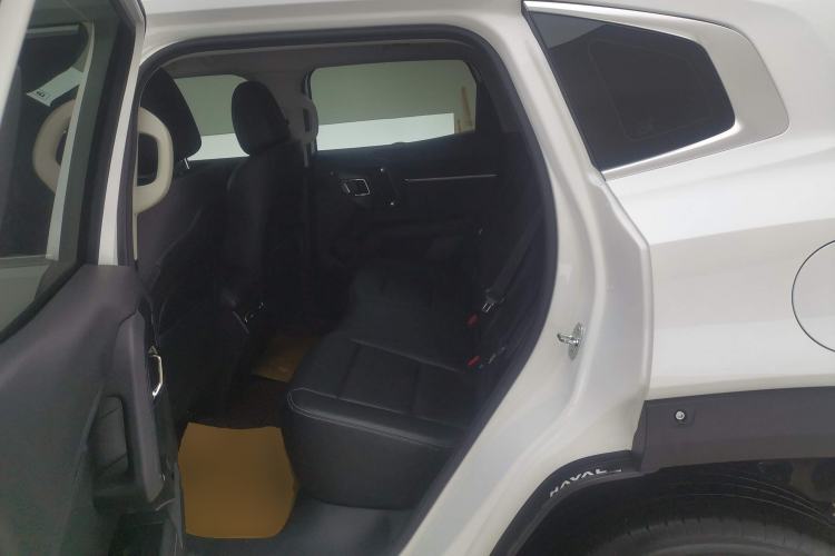 Used Haval H Dog 2023 2.0T All-Wheel-Drive Chaoye Plus Left Rear Seat
