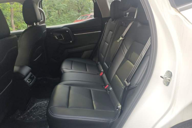 Used Haval H Dog 2023 2.0T Two-Wheel Drive Chaoye Version Plus Left Rear Seat