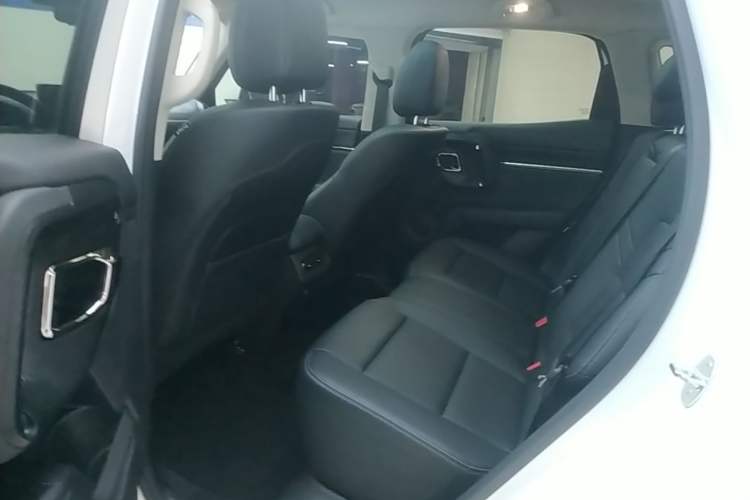 Used Haval H Dog 2023 2.0T All-Wheel-Drive Chaoye Plus Left Rear Seat