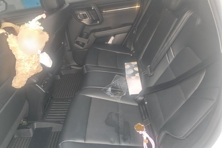 Used Haval H Dog 2023 2.0T Two-Wheel Drive Chaoye Version Plus Left Rear Seat