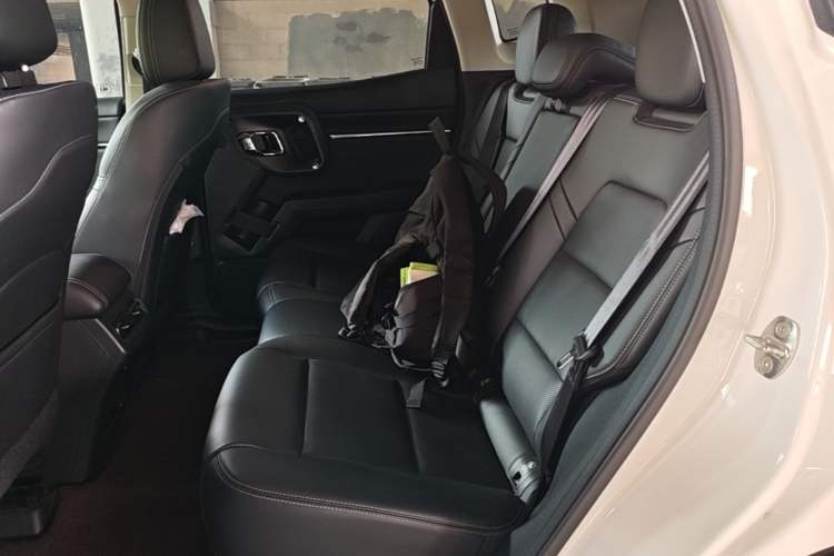 Used Haval H Dog 2023 2.0T Two-Wheel Drive Chaoye Version Plus Left Rear Seat
