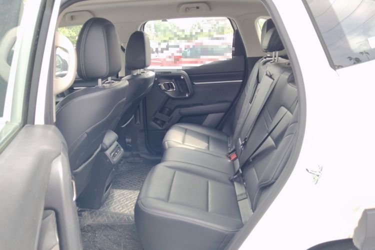 Used Haval H Dog 2023 2.0T All-Wheel-Drive Chaoye Plus Left Rear Seat