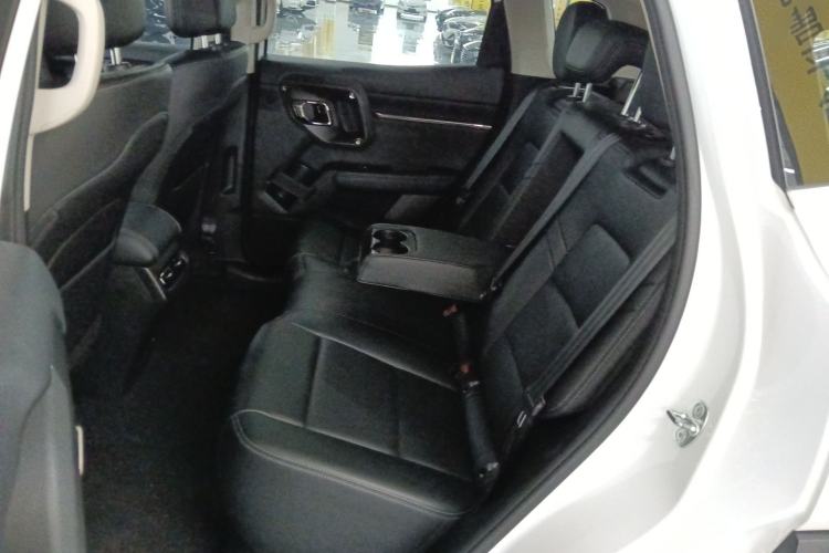 Used Haval H Dog 2023 2.0T Two-Wheel Drive Chaoye Version Plus Left Rear Seat