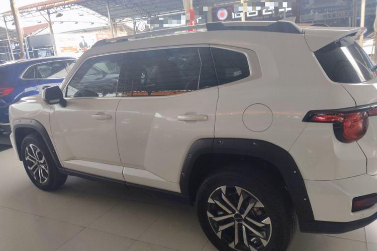 Used Haval H Dog 2023 2.0T Two-Wheel Drive Chaoye Version Plus Left Side