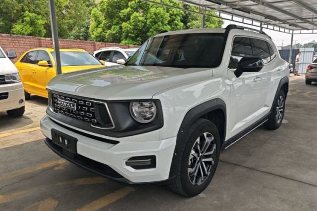 Haval H Dog 2023 1.5T Two-Wheel Drive Chao Ye Version Plus de segunda mano
