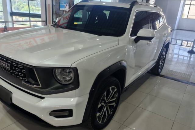 Used Haval H Dog 2023 2.0T All-Wheel-Drive Chaoye Plus