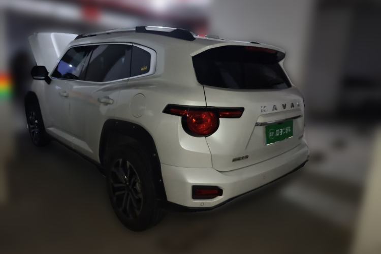 Used Haval H Dog 2023 2.0T Two-Wheel Drive Chaoye Version Plus Rear Left 45 Deg