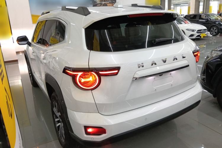 Used Haval H Dog 2023 2.0T Two-Wheel Drive Chaoye Version Plus Rear Left 45 Deg