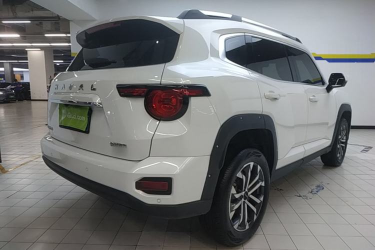 Used Haval H Dog 2023 2.0T All-Wheel-Drive Chaoye Plus Rear Right 45 Deg