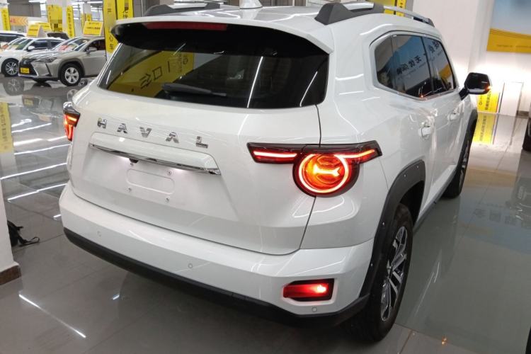 Used Haval H Dog 2023 2.0T Two-Wheel Drive Chaoye Version Plus Rear Right 45 Deg