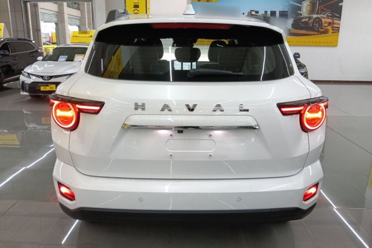 Used Haval H Dog 2023 2.0T Two-Wheel Drive Chaoye Version Plus Rear
