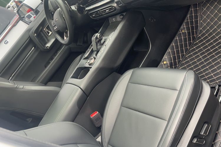 Used Haval H Dog 2023 2.0T All-Wheel-Drive Chaoye Plus Right Front Seat