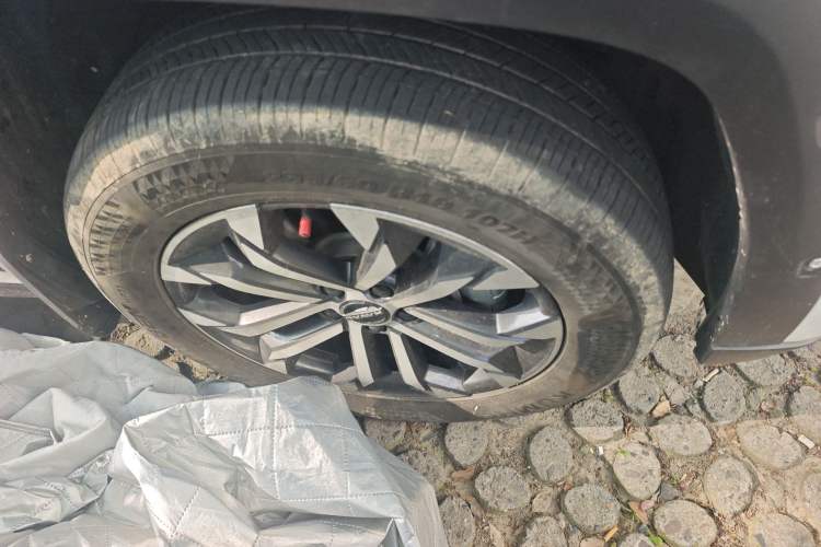 Used Haval H Dog 2023 2.0T Two-Wheel Drive Chaoye Version Plus Right Front Wheel Hub