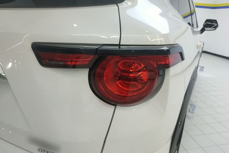 Used Haval H Dog 2023 2.0T All-Wheel-Drive Chaoye Plus Right Rear Taillight