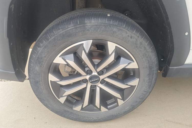 Used Haval H Dog 2023 2.0T Two-Wheel Drive Chaoye Version Plus Right Rear Wheel Hub