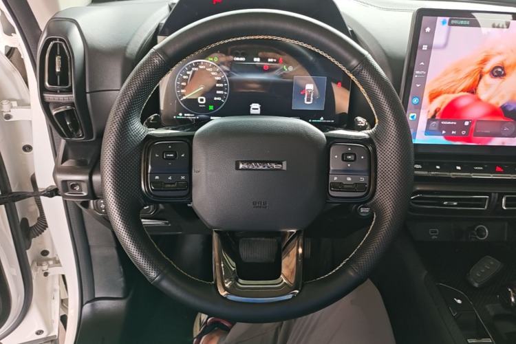 Used Haval H Dog 2023 2.0T Two-Wheel Drive Chaoye Version Plus Steering Wheel