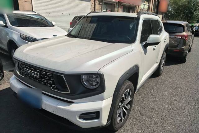Used Haval H Dog 2023 2.0T Two-Wheel Drive Chaoye Version Plus