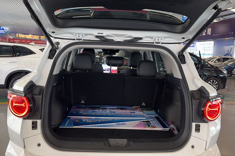 Used Haval H Dog 2023 2.0T All-Wheel-Drive Chaoye Plus Trunk
