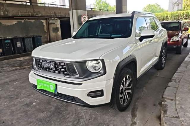 Used Haval H Dog 2023 2.0T Two-Wheel Drive Chaoye Version Plus