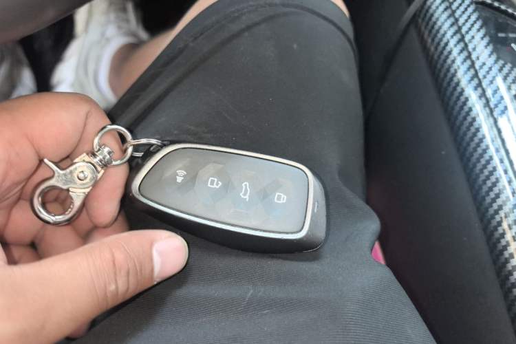 Used Haval H Dog 2023 2.0T All-Wheel-Drive Chaoye Plus Vehicle Key