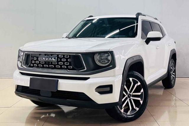 Used Haval H Dog 2023 2.0T Two-Wheel Drive Chaoye Version Plus