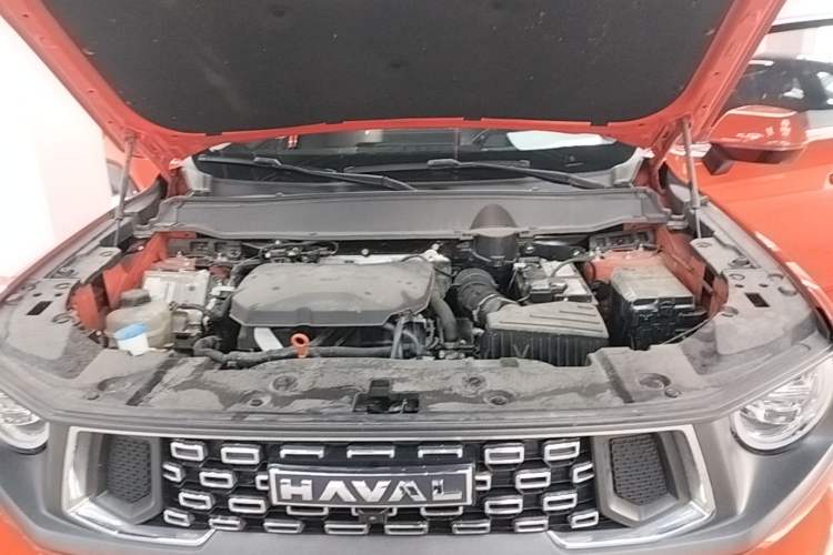 Used Haval H Dog 2023 2.0T Two-Wheel Drive Chaoye Version Plus Engine Bay