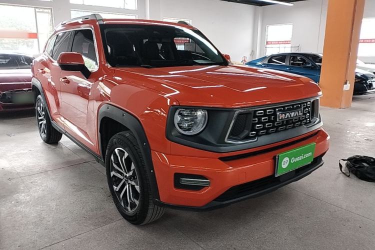 Used Haval H Dog 2023 2.0T Two-Wheel Drive Chaoye Version Plus Exterior 1