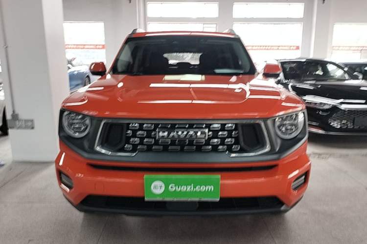 Used Haval H Dog 2023 2.0T Two-Wheel Drive Chaoye Version Plus Front