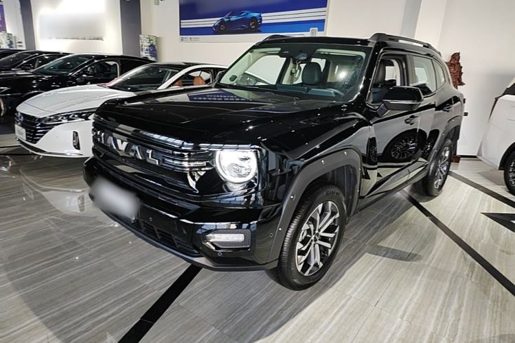 Haval H Dog 2026 Model 2.0T Trendy Wilderness Edition