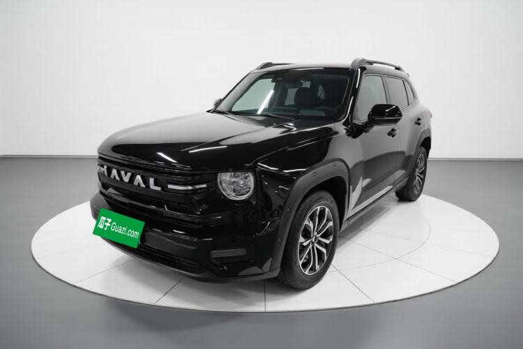 Haval H Dog 2026 Model 1.5T Trendy Fun Edition