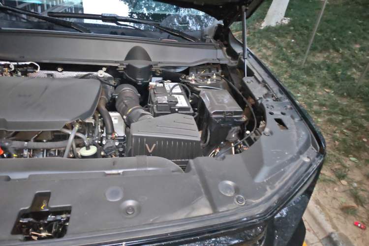 Used Haval H Dog 2026 Model 2.0T Trendy Wilderness Edition Engine Bay Left