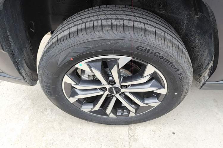 Used Haval H Dog 2026 Model 2.0T Trendy Wilderness Edition Exterior 5