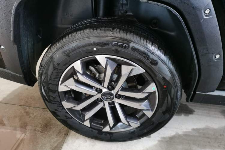 Used Haval H Dog 2026 Model 2.0T Trendy Wilderness Edition Exterior 5