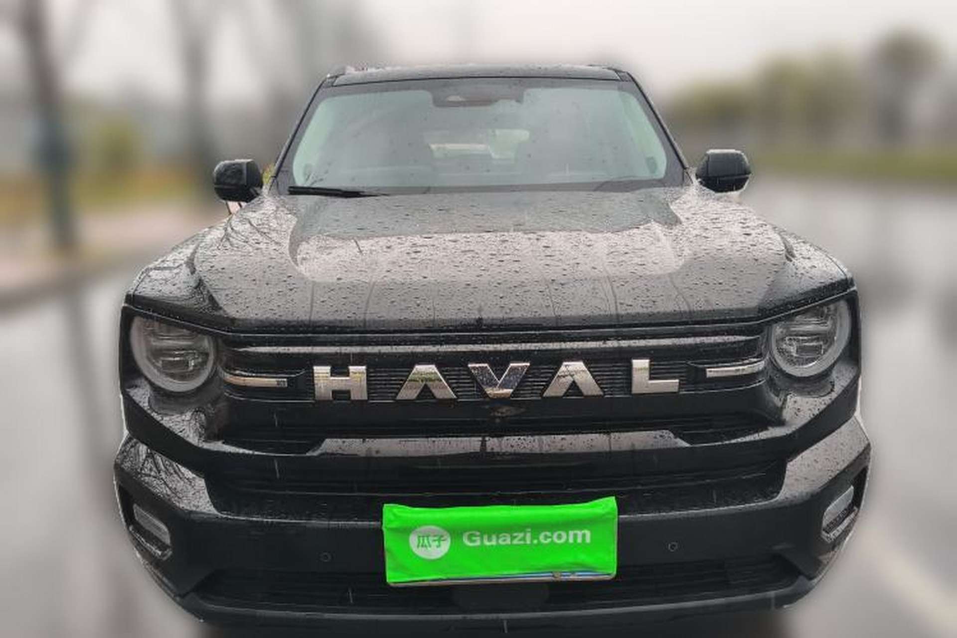 Used Haval H Dog 2026 Model 2.0T Trendy Wilderness Edition Front
