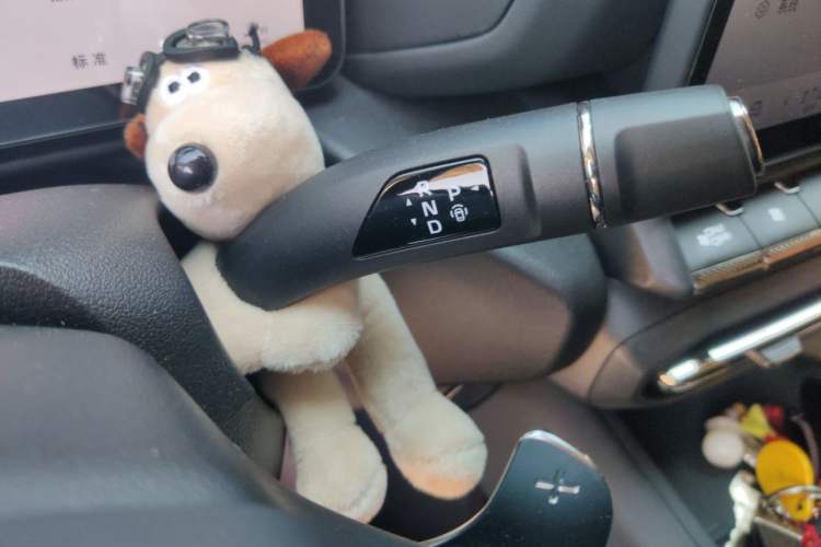 Used Haval H Dog 2026 Model 2.0T Trendy Wilderness Edition Gear Lever