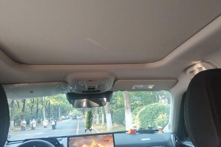 Used Haval H Dog 2026 Model 2.0T Trendy Wilderness Edition Headliner