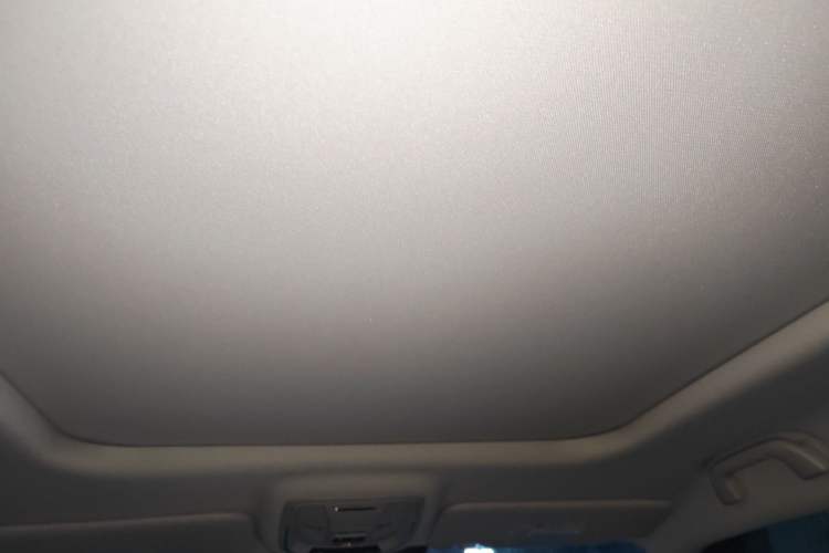 Used Haval H Dog 2026 Model 2.0T Trendy Wilderness Edition Headliner