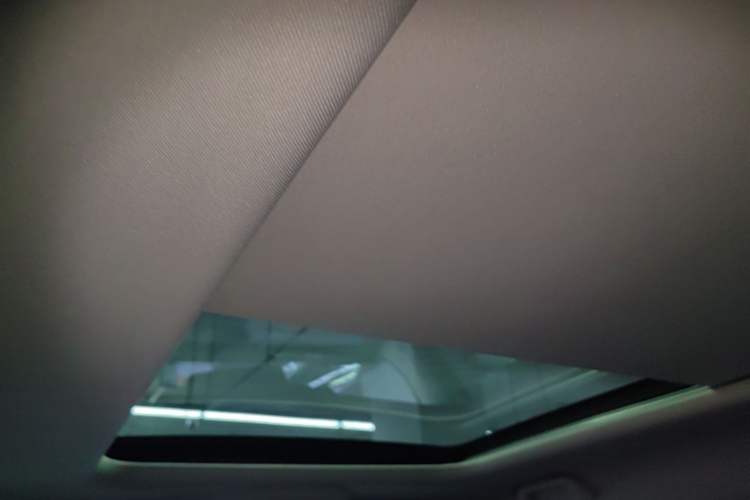 Used Haval H Dog 2026 Model 2.0T Trendy Wilderness Edition Headliner