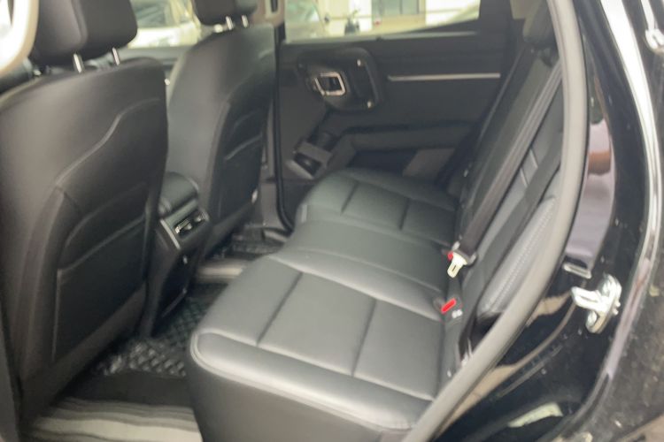 Used Haval H Dog 2026 Model 2.0T All-Wheel-Drive Trendy Wilderness Edition Left Rear Seat