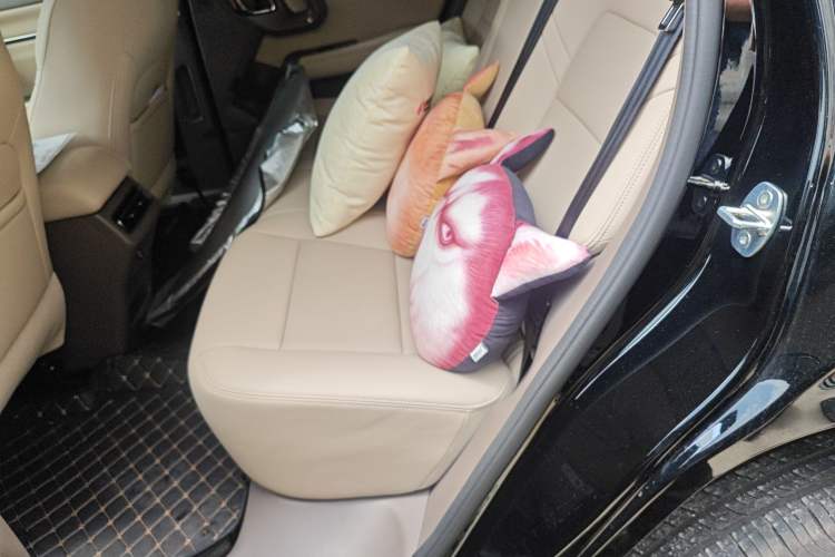 Used Haval H Dog 2026 Model 2.0T Trendy Wilderness Edition Left Rear Seat