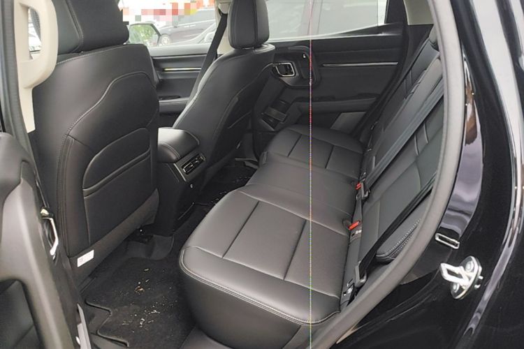 Used Haval H Dog 2026 Model 2.0T Trendy Wilderness Edition Left Rear Seat