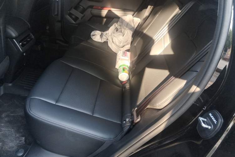 Used Haval H Dog 2026 Model 2.0T Trendy Wilderness Edition Left Rear Seat