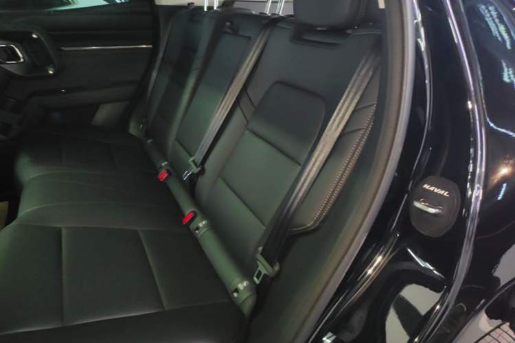 Used Haval H Dog 2026 Model 2.0T Trendy Wilderness Edition Left Rear Seat