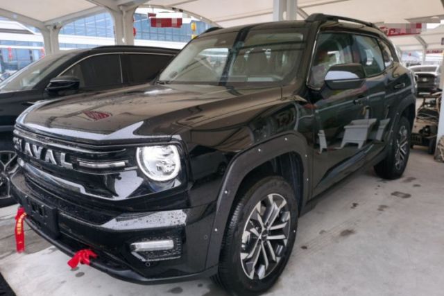 Used Haval H Dog 2026 Model 2.0T Trendy Wilderness Edition